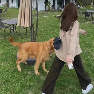 同心草